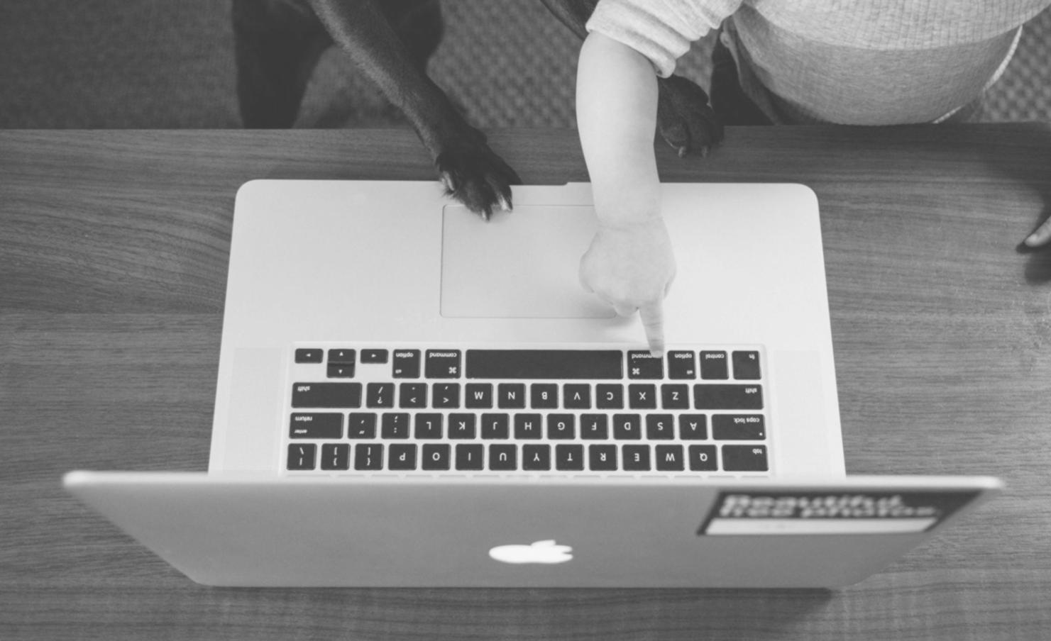 Gráficos y análisis de mercado en pantalla de ordenador mostrando tendencias empresariales